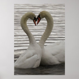 Póster Bumping Heads