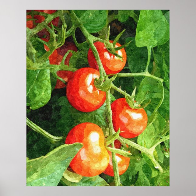 Póster Bunch de tomates (Frente)