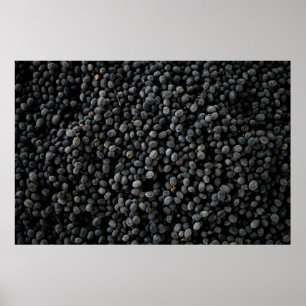 Póster Bunch of black beans