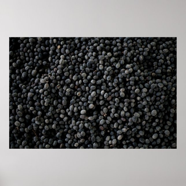 Póster Bunch of black beans (Frente)