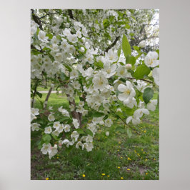 Póster Bunches de flores