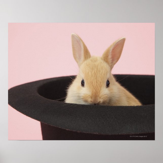 Póster Bunny mágico (Frente)