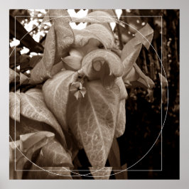 Póster Buquê de folhas