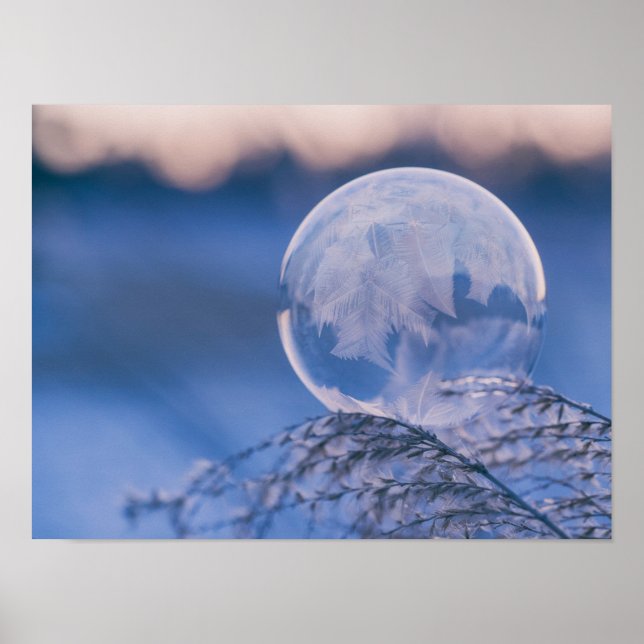 Póster Burbuja en hoja (Frente)