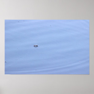 Póster Burbuja en Poster de estanques