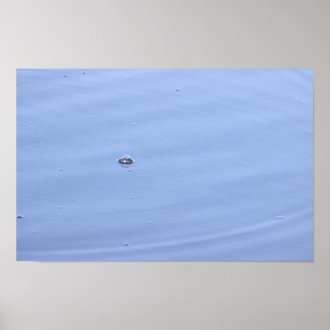 Póster Burbuja en Poster de estanques (Frente)