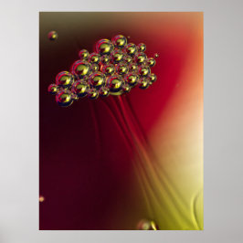 Póster Burbujas abstractas flotantes fondo colorido