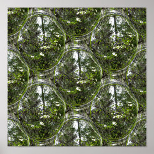 Póster Burbujas de dogwood......