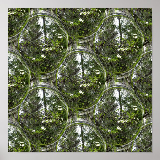 Póster Burbujas de dogwood...... (Frente)