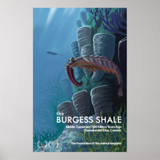 Póster Burgess Shale Poster