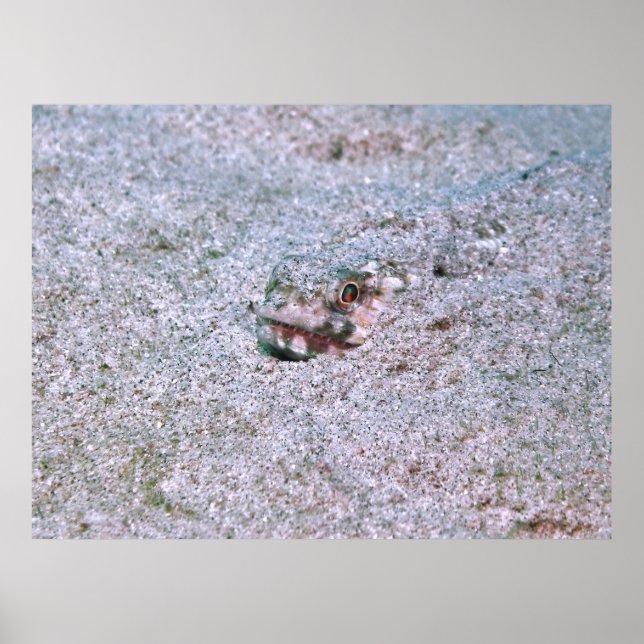Póster Buried (Frente)