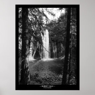Póster Burney baja a través de los árboles con la