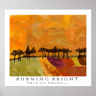 Póster Burning Bright
