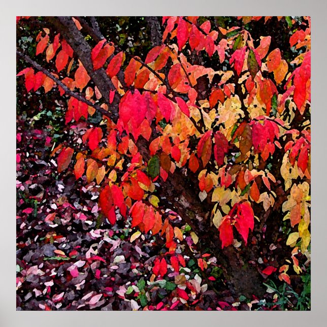 Póster Burning Bush Abstract (Frente)