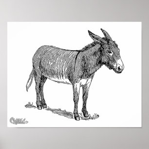 Póster Burro