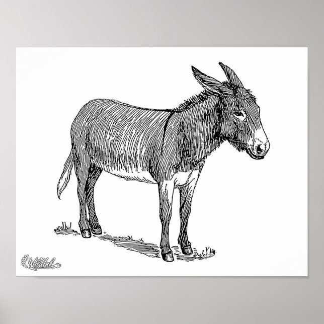 Póster Burro (Frente)