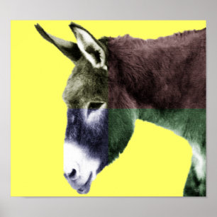 Póster Burro de muchos colores