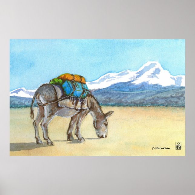 Póster Burro en la meseta alta, Sudamérica (Frente)