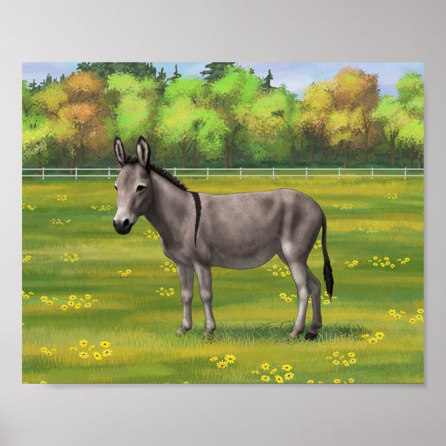 Póster Burro Gris De Burro De Burro En Pasto (Frente)
