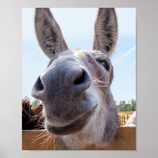Póster Burro sonriente