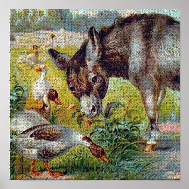 Póster Burro y Geese (Frente)