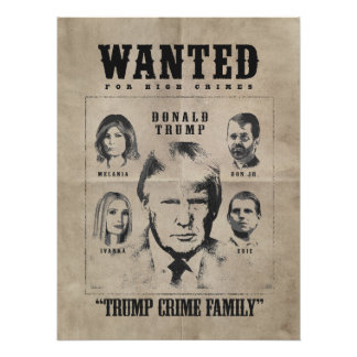 Poster buscado: Familia Crítica Trump