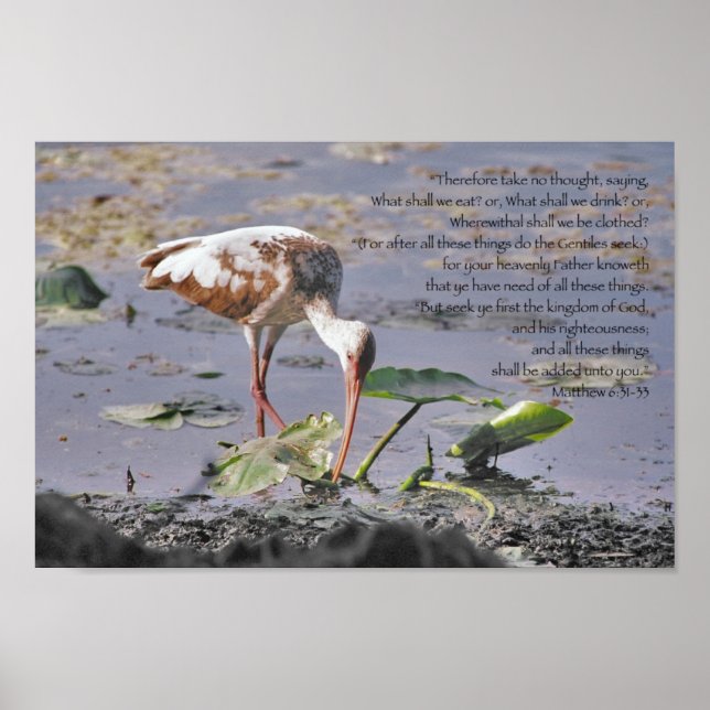 Póster Buscáis primero el reino de las Escrituras de Dios (Frente)