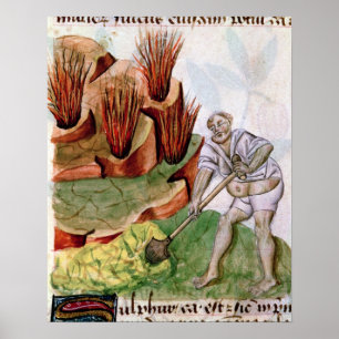 Póster Buscando azufre, dioscoridas 'De Herbis'