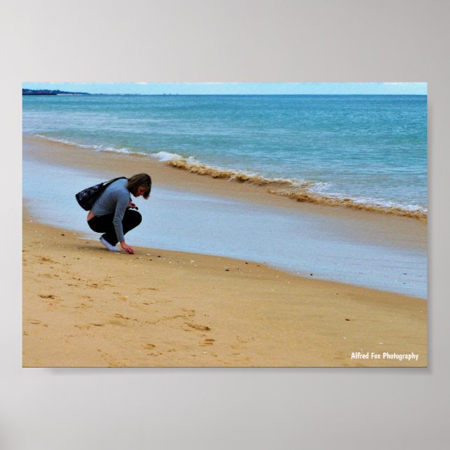 Póster Buscando la concha marina perfecta (Frente)