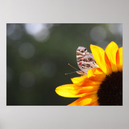 Póster Buscando por encima