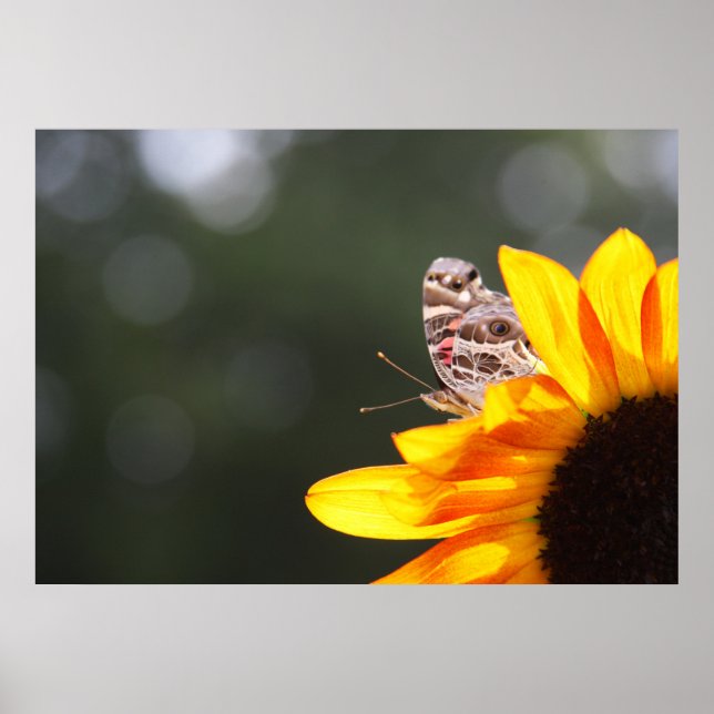 Póster Buscando por encima (Frente)