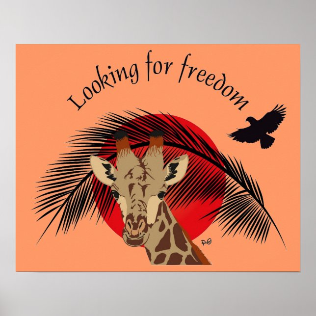 Póster Buscando Poster de libertad (Frente)