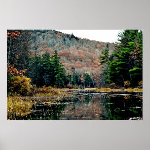 Póster Buscar Poster