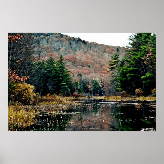 Póster Buscar Poster (Frente)