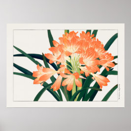 Póster Bush Lily, Clivia miniata, Flores, Tanigami Kona,