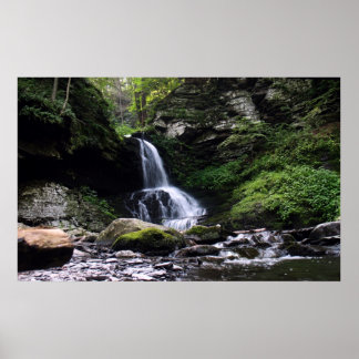 Póster Bushkill Falls