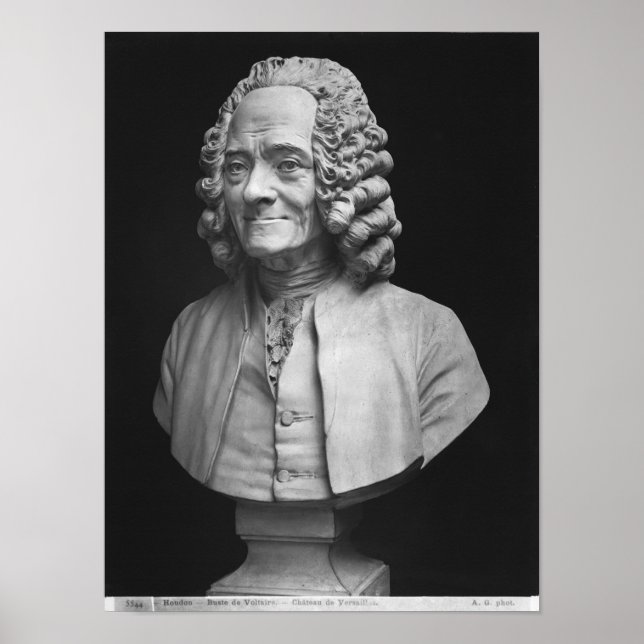Póster Bust of Voltaire (Frente)