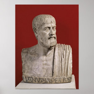 Póster Bust se suponía que era Flavio Claudius Julianus