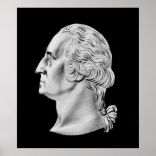 Póster Busto de presidente Washington