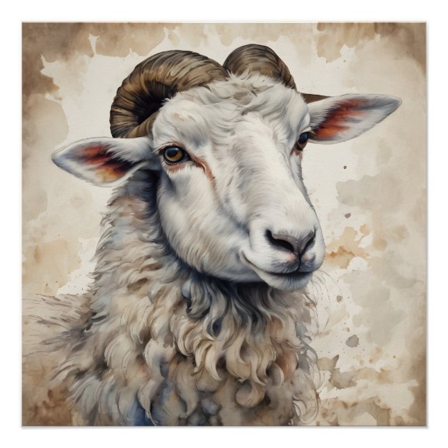 Póster Buttercup the Sheep (Anverso)