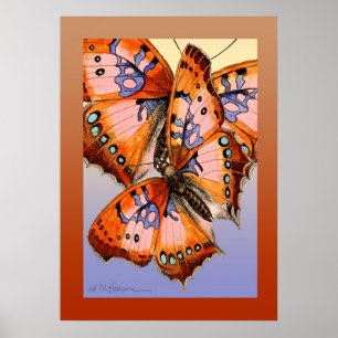 Póster Butterflies red blue abstract painting
