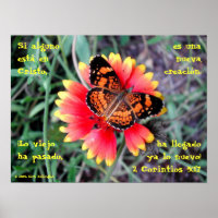 Butterfly Flower—2 Corintios 5:17