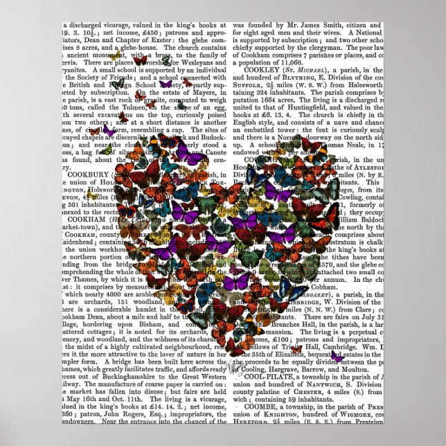 Póster Butterfly Heart (Frente)