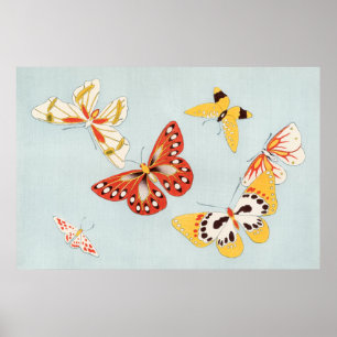 Póster Butterfly Illustration Poster