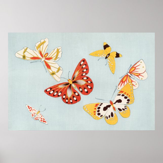 Póster Butterfly Illustration Poster (Frente)