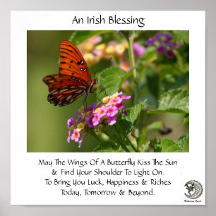 Póster Butterfly On Flowers ~ Irish Blessing
