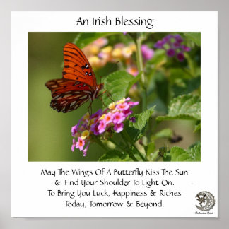 Póster Butterfly On Flowers ~ Irish Blessing