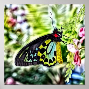 Póster Butterfly Painting