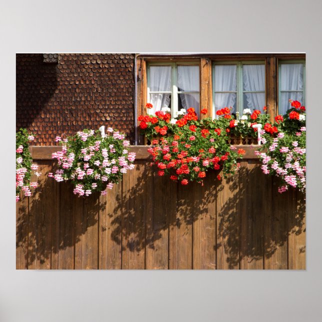 Póster Buzón de flores de Suiza (Frente)