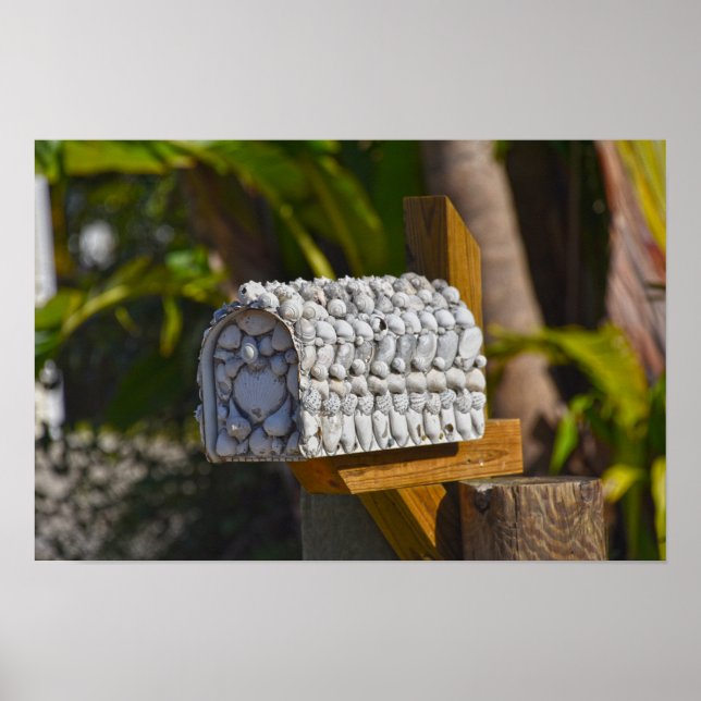 Póster Buzón de Shell, Fort Myers Beach, Florida (Frente)